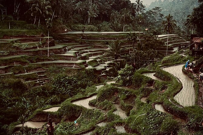 Ubud Top Tours to Discover Bali’s Cultural and Natural Wonders - Why This Ubud Cultural Circuit Works So Well From Kuta