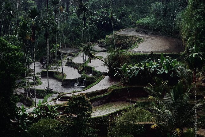 Ubud Top Tours to Discover Bali’s Cultural and Natural Wonders - Stop 2: Ulu Petanu Waterfall and the Logic of 45 Minutes