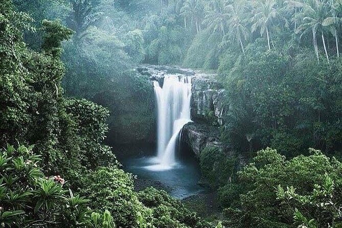 Ubud Top Tours to Discover Bali’s Cultural and Natural Wonders - Stop 3: Sacred Monkey Forest Sanctuary Without Losing Your Mind