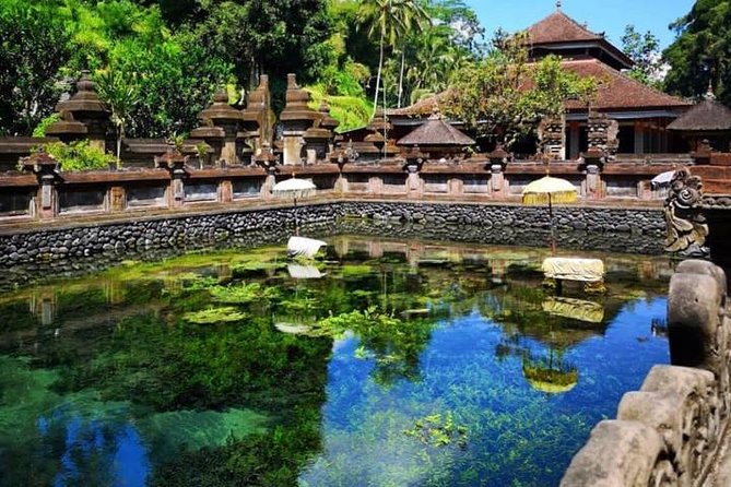 Ubud Tour : Best of Ubud with All inclusive - Sacred Monkey Forest Sanctuary: Gray Macaques and Temple Setting