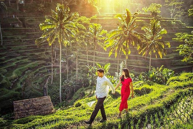 Ubud Tour : Best of Ubud with All inclusive - Private Transfers From South Bali: Less Stress, More Time