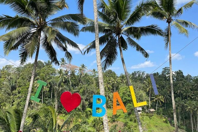 Ubud Tour - Highlight of Ubud - Traditional Tour - Door-to-door Ubud plans that keep your day from unraveling