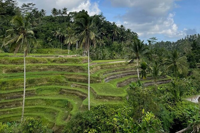 Ubud Tour - Highlight of Ubud - Traditional Tour - The 10-hour rhythm: vehicle comfort, group size, and expectations