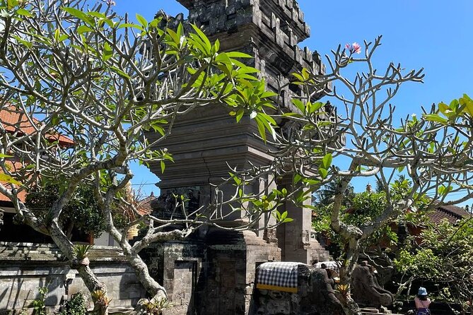 Ubud Tour - Highlight of Ubud - Traditional Tour - Stop 4: Tegalalang Rice Terrace—why this one matters