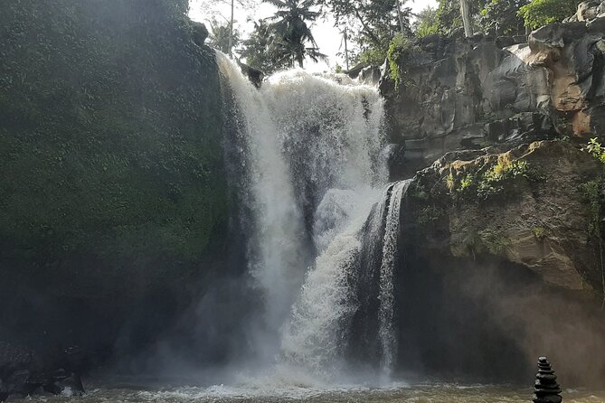 Ubud Tour - Highlights of Ubud - Sacred Monkey Forest Sanctuary: Fun Wildlife, Real Rules