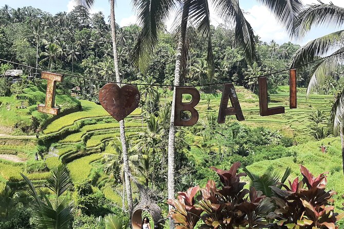 Ubud Tour - Highlights of Ubud - Price and Value: What You’re Paying For at $100 per Person