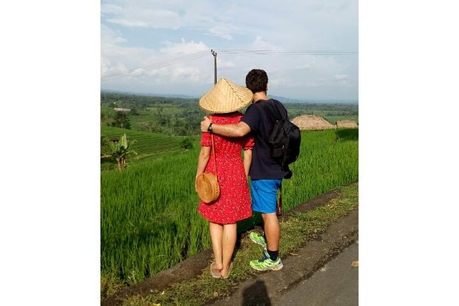 Ubud Tour Monkey Forest, Rice Terrace, Swing, Temple, Waterfall - The big idea: why this Ubud highlights day makes sense