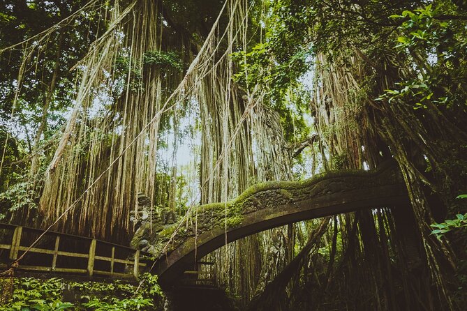 Ubud Tour Waterfall Rice Terrace Temple and Art Village - Stop 2: Sacred Monkey Forest Sanctuary and the real-life rules