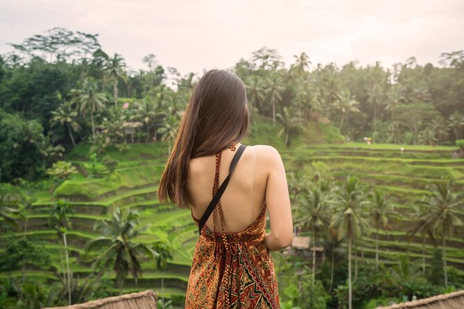Ubud Tour Waterfall Rice Terrace Temple and Art Village - Stop 3: Tegalalang Rice Terrace for photos and local irrigation context