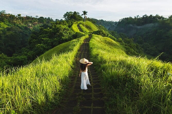 Ubud Tour with all includes - Tegenungan Waterfall: green views, a closer walk, and optional swimming
