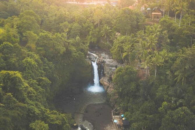 Ubud Tour with Jungle Swing and Waterfall Water Temple - Sacred Monkey Forest Sanctuary: Protected Forest and Long-Tailed Monkeys