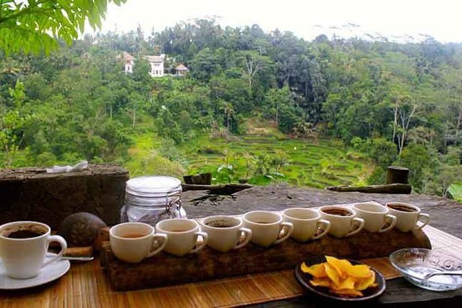 Ubud Trip, The Best of Ubud in a day - All Inclusive - Batuan: traditional houses, wood carving, and painting
