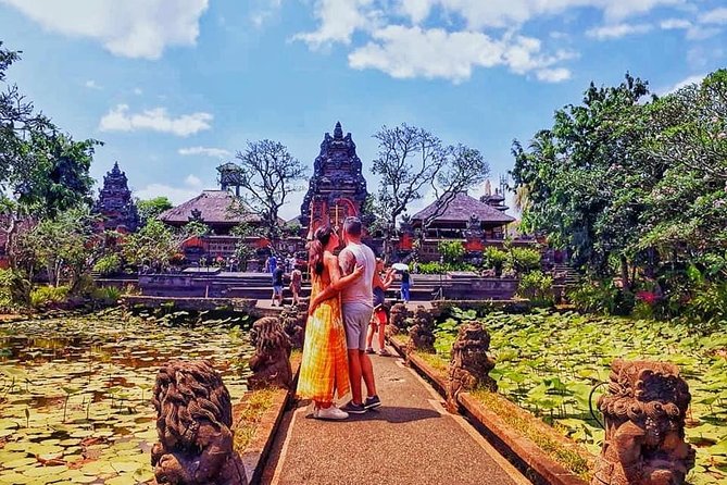 Ubud Trip, The Best of Ubud in a day - All Inclusive - Tegalalang rice terraces: the famous view, plus useful context