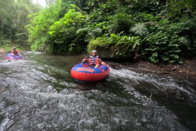 Ubud Tubing Adventure Holy Spring Temple Private Guided Tour - Stop 2: Tirta Empul Holy Spring Temple purification (about 1 hour)