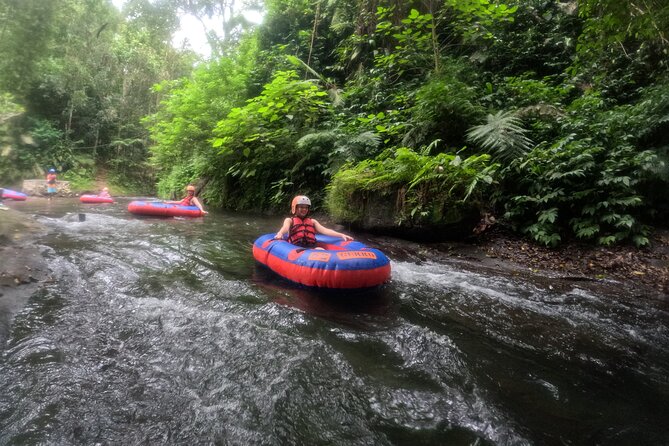 Ubud Tubing Adventure Holy Spring Temple Private Guided Tour - Stop 3: Tampaksiring tea, coffee, and panorama time (about 40 minutes)