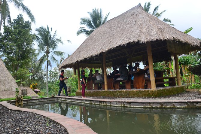 Ubud Village Sightseeing, Famous Paddy Field And Ubud Waterfall - Price and included extras: what $45 buys you