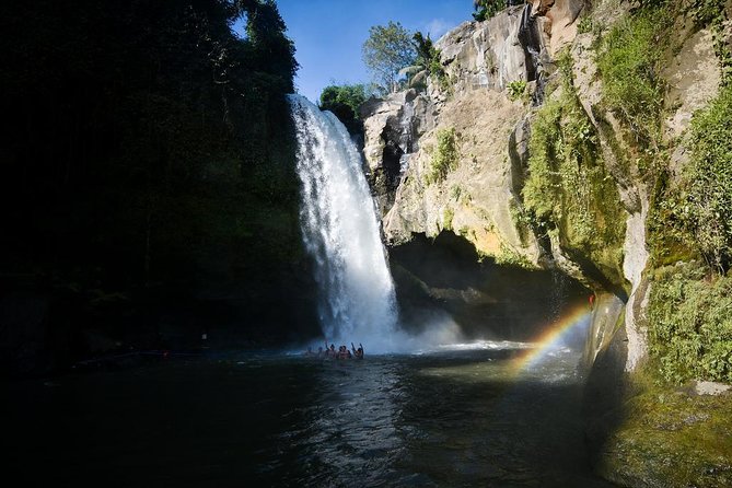 Ubud Village Sightseeing, Famous Paddy Field And Ubud Waterfall - Who should book this private Ubud village day trip