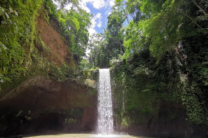 Ubud Village, Tegalalang Rice Terrace Swing, Tirta Empul Temple and Waterfafall - A full-day Ubud loop from Seminyak, with AC and Wi‑Fi