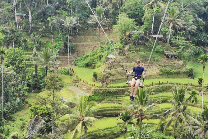 Ubud Village, Tegalalang Rice Terrace Swing, Tirta Empul Temple and Waterfafall - Mount Kawi: rock-cut shrines carved into a 7-metre cliff