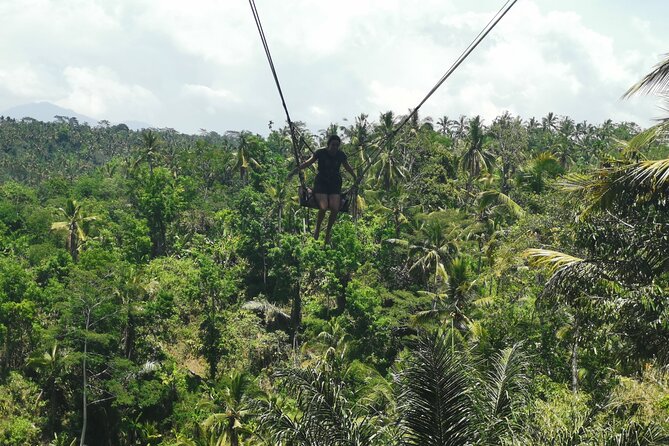 Ubud Village, Tegalalang Rice Terrace Swing, Tirta Empul Temple and Waterfafall - Campuhan Ridge Walk: Ubud’s river confluence spirit