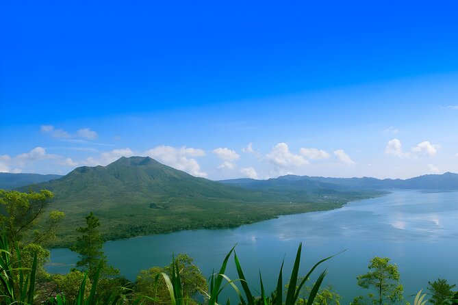 Ubud Village, Waterfall and Kintamani Volcano Tour - Tegalalang Rice Terrace: where to slow down, not rush
