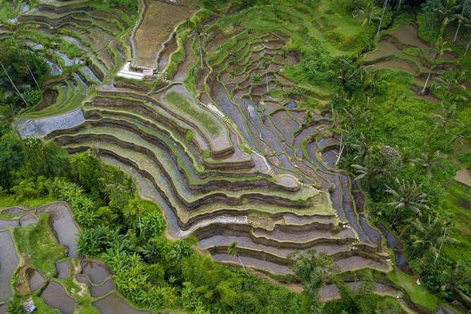 Ubud Volcano Lake and Natural Hot Spring Tour - Batur Natural Hot Springs: soak time with towels, lockers, and showers