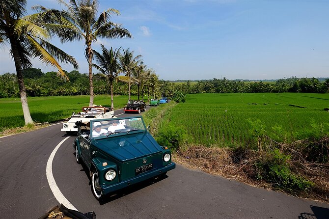 Ubud VW Safari Bali Tour - Volkswagen Classic Car Trip - Key things you’ll notice on this Ubud VW Safari