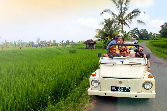 Ubud VW Safari Bali Tour - Volkswagen Classic Car Trip - Goa Gajah (Elephant Cave): the stop that feels different