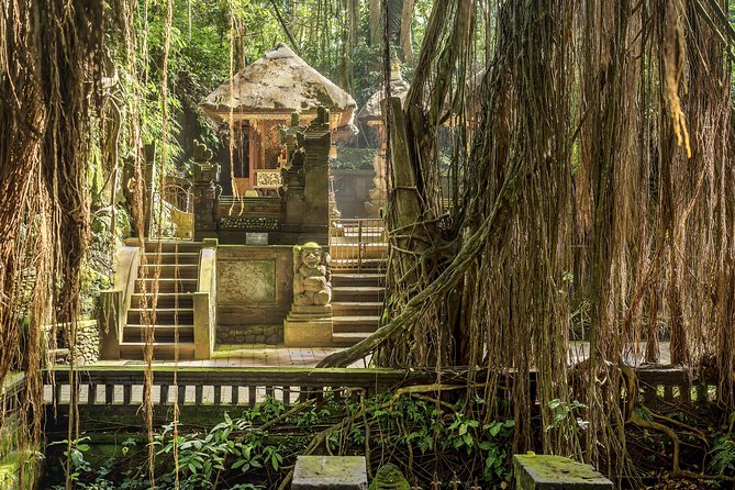 Ubud: Waterfall, Rice Terraces, and Monkey Forest Private Tour - Tegalalang Rice Terraces and the Subak Irrigation Story