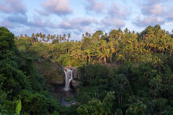 Ubud waterfall, rice terraces, and swing explore - Stop 2: Tegalalang Rice Terraces for those classic Ubud views