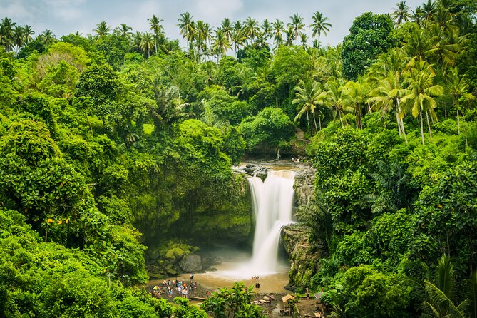 Ubud waterfall, rice terraces, and swing explore - Stop 3: Ubud Jungle Swing, single or tandem, plus Balinese coffee