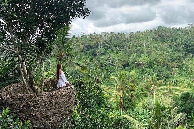 Ubud waterfall, rice terraces, and swing explore - Price and value: $41 includes the hard parts, swing is the one add-on