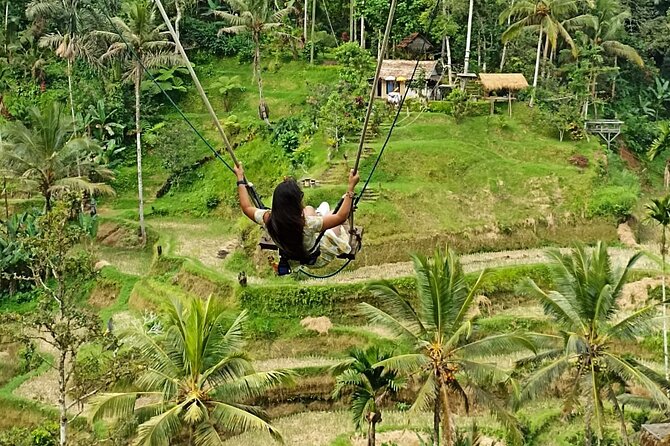 Ubud Waterfall Swing And Spring Temple Private Guided Tour - Happy Swing Bali: The Viral Swing Stop (But With a Human Guide)