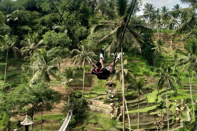 Ubud Waterfall Swing And Spring Temple Private Guided Tour - Tampaksiring Tea Break and Village Garden Time