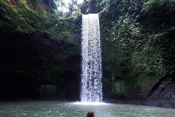 Ubud Waterfalls, Rice Terrace & Jungle Swing - Private Tour - Key highlights you’ll actually feel during the day