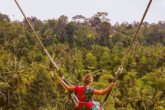 Ubud Waterfalls, Rice Terrace & Jungle Swing - Private Tour - Tegalalang Rice Terrace: walking the paddies at the heart of Bali