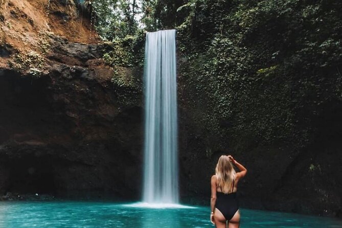 Ubud Waterfalls, Rice Terrace & Jungle Swing - Private Tour - Value check: price, tickets, and why the transport matters