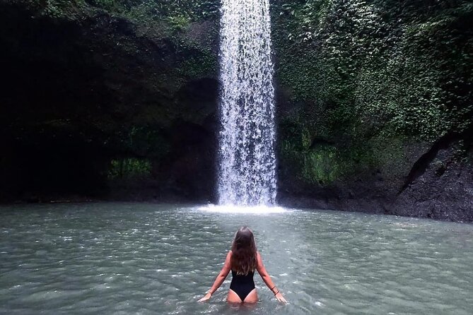 Ubud Waterfalls, Temple and Rice Terrace - Private Tour - Key highlights at a glance