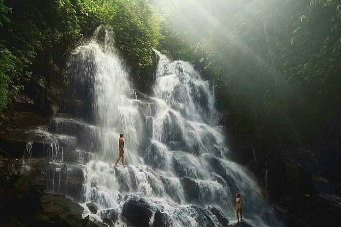 Ubud Waterfalls, Temple and Rice Terrace - Private Tour - Why a private Ubud day works so well