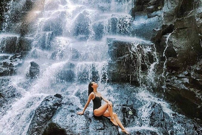Ubud Waterfalls, Temple and Rice Terrace - Private Tour - Price and what you really get for $26.40