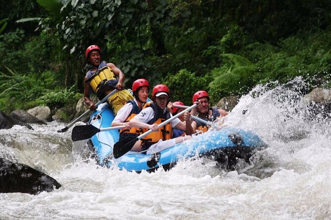 Ubud White Water Rafting with Waterfall and Lunch - Ayung River Rafting in Ubud: What Makes This One Worth Your Time