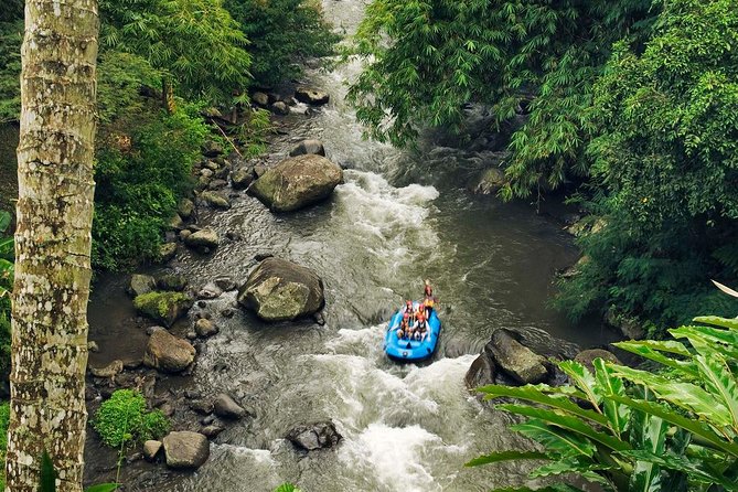 Ubud White Water Rafting with Waterfall and Lunch - Getting to Bali Bintang Rafting: The Transfer and Meeting Point