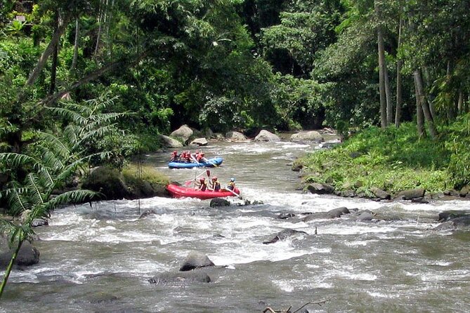 Ubud White Water Rafting with Waterfall and Lunch - On the Water: Jungle, Waterfalls, Rapids, and Swim Time