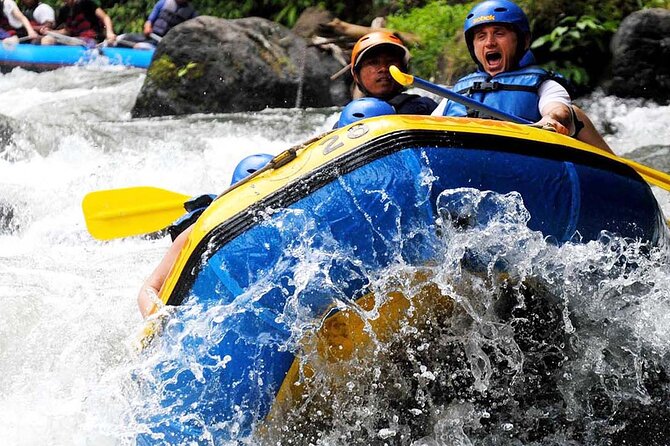 Ubud White Water Rafting with Waterfall and Lunch - Price Check: Why $26.97 Can Be a Good Deal in Ubud