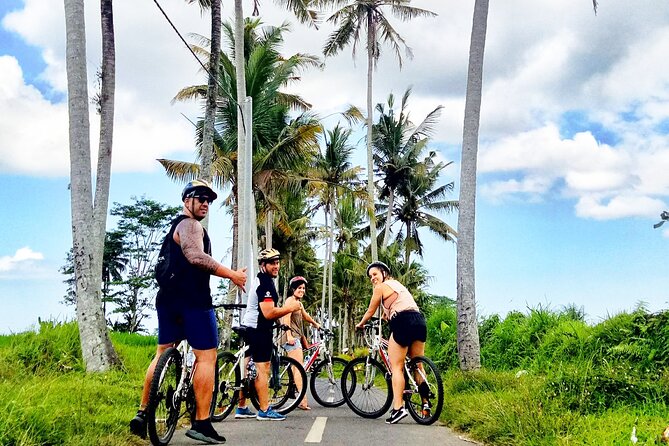Ubud Wonderful Half Day Downhill Cycling Tour with Lunch - Manukaya and the Village Lanes: Mostly Downhill, Mostly Local