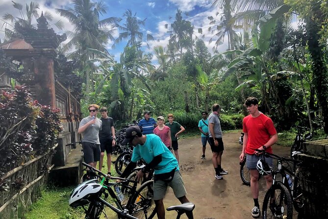 Ubud Wonderful Half Day Downhill Cycling Tour with Lunch - Rice Fields, a Local Home, and a Temple Moment