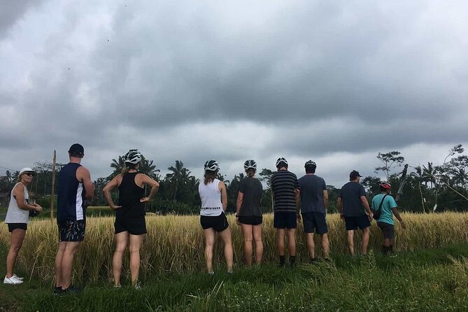Ubud Wonderful Half Day Downhill Cycling Tour with Lunch - Banjar Laplapan Lunch: Balinese Food, Water, and Real Choices