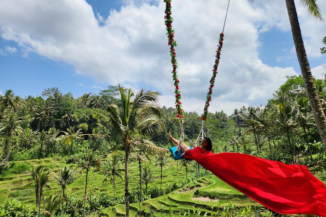 Ubud: Zipline, Bali Swing, and Sky Bike in a Private Rice Terrace - Sky Bike: pedaling above the paddies for a calmer thrill