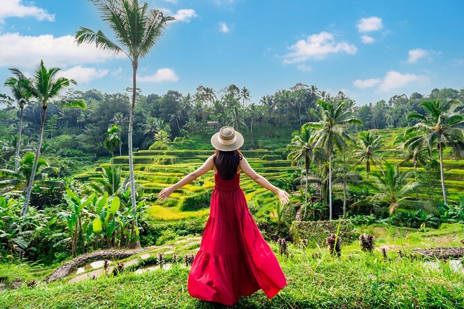 Ultimate Ubud Experience All Inclusive Private Day Tour - Key highlights worth your attention