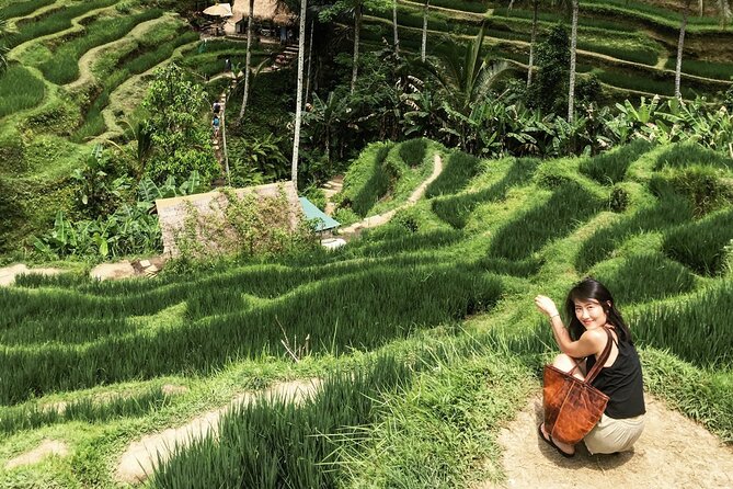 Ultimate Ubud Experience All Inclusive Private Day Tour - Timing, Tickets, and the Lunch Gap